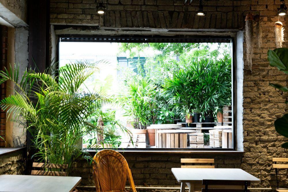 Зелёная атмосфера Urban Plant